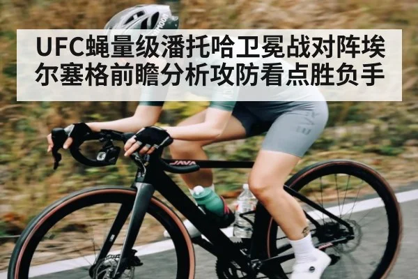 UFC蝇量级潘托哈卫冕战对阵埃尔塞格前瞻分析攻防看点胜负手